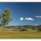 Grasssteppe in der nördlichen Mongolei
