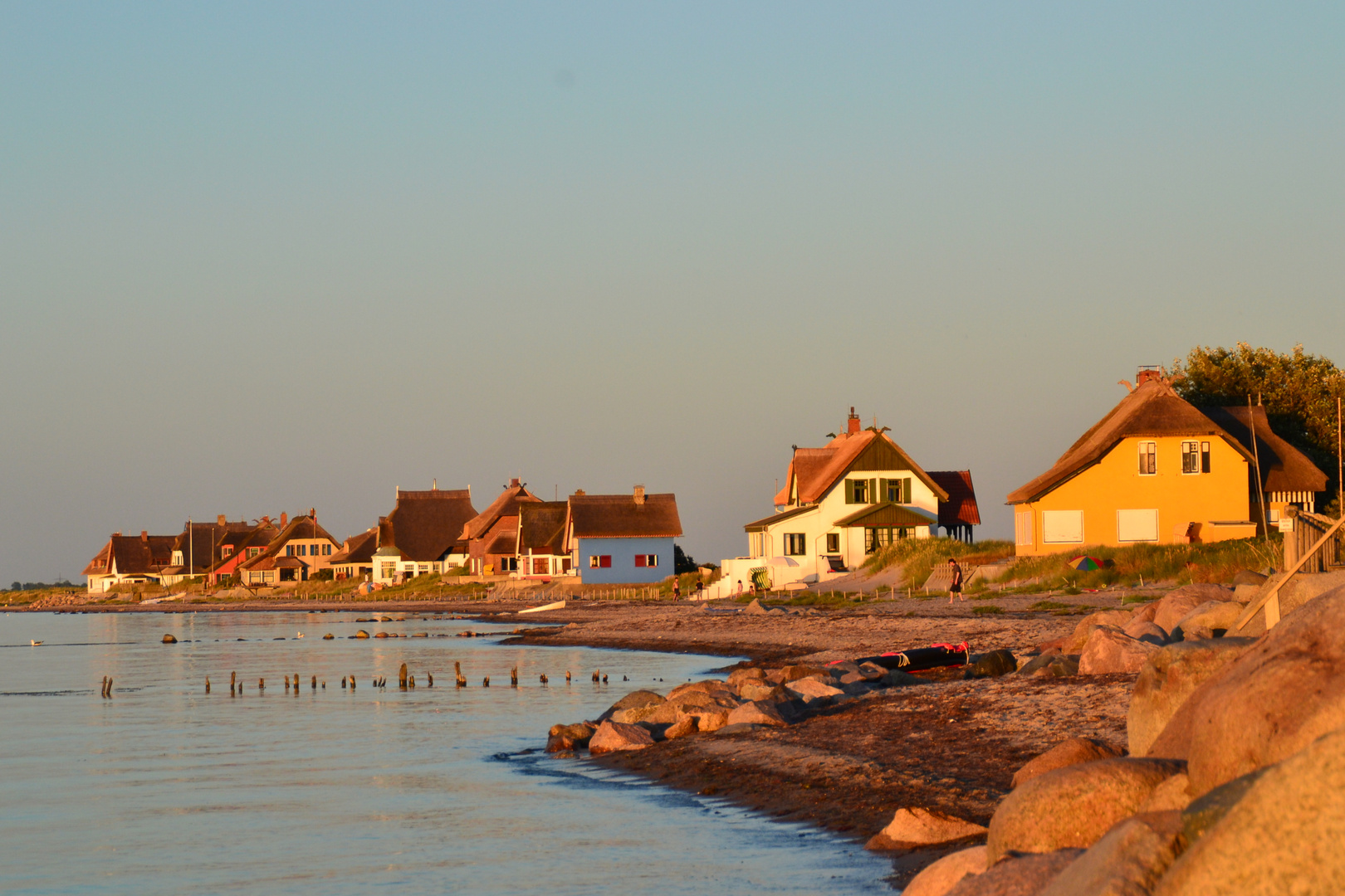 Graswader in Heiligenhafen an der Ostsee