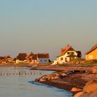 Graswader in Heiligenhafen an der Ostsee