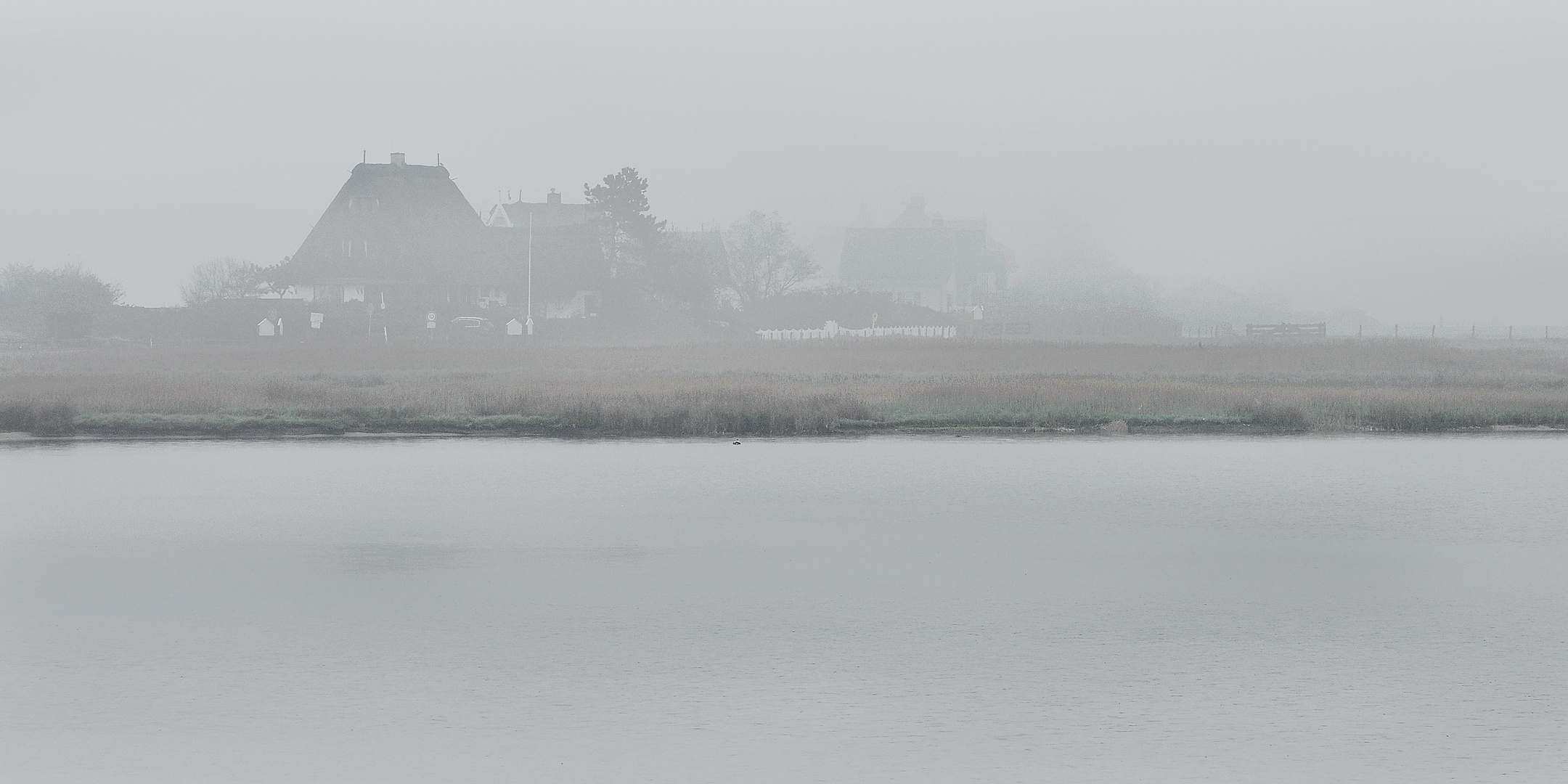  Graswarder (Heiligenhafen) im Nebel
