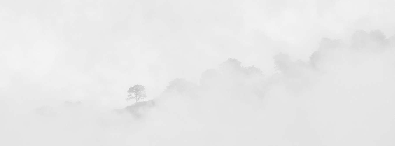 Grat auf Corsica im Nebel