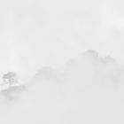 Grat auf Corsica im Nebel