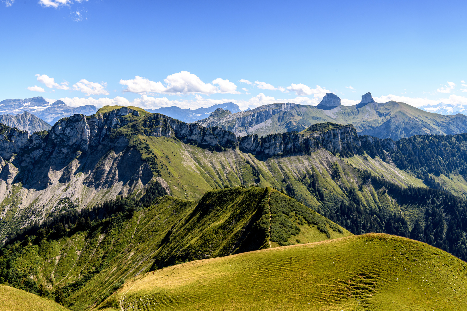 Grat kurz vorm Rochers de Naye - Schweiz