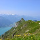 Grat vom Augstmatthorn Richtung Harderkulm