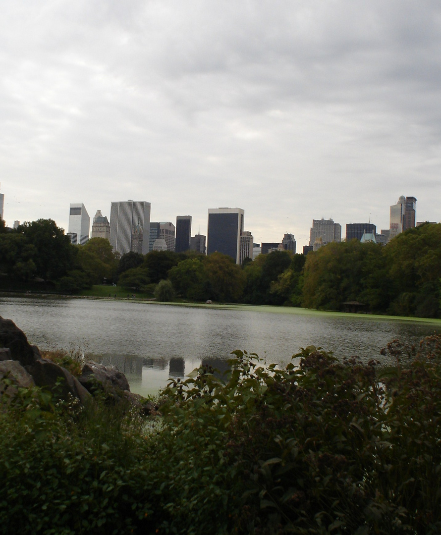 Grattacieli si stagliano dal Central Park