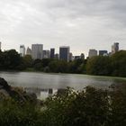 Grattacieli si stagliano dal Central Park