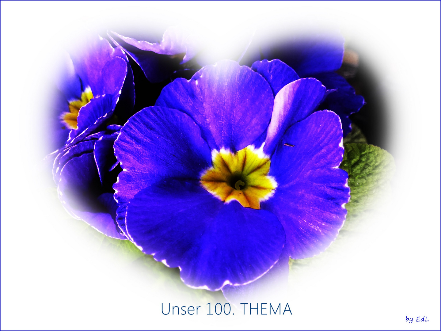 Gratulation zum 100.Thema.