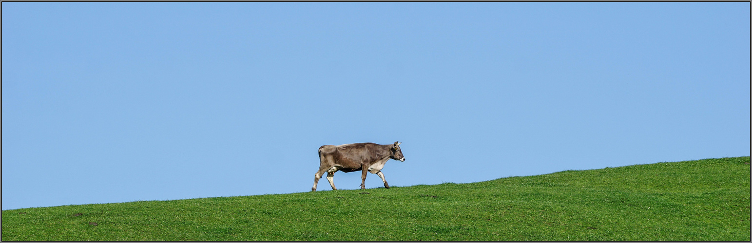 Gratwanderung