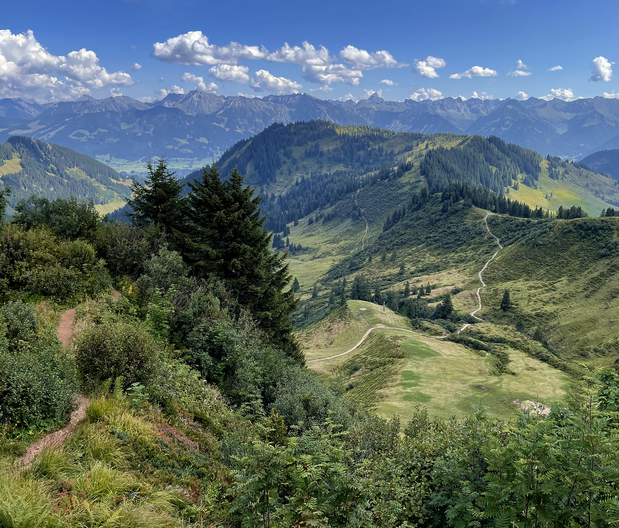 Gratwanderung am Riedberger Horn 