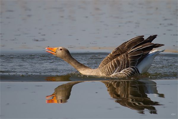 Gratwanderung auf der Schärfentiefe