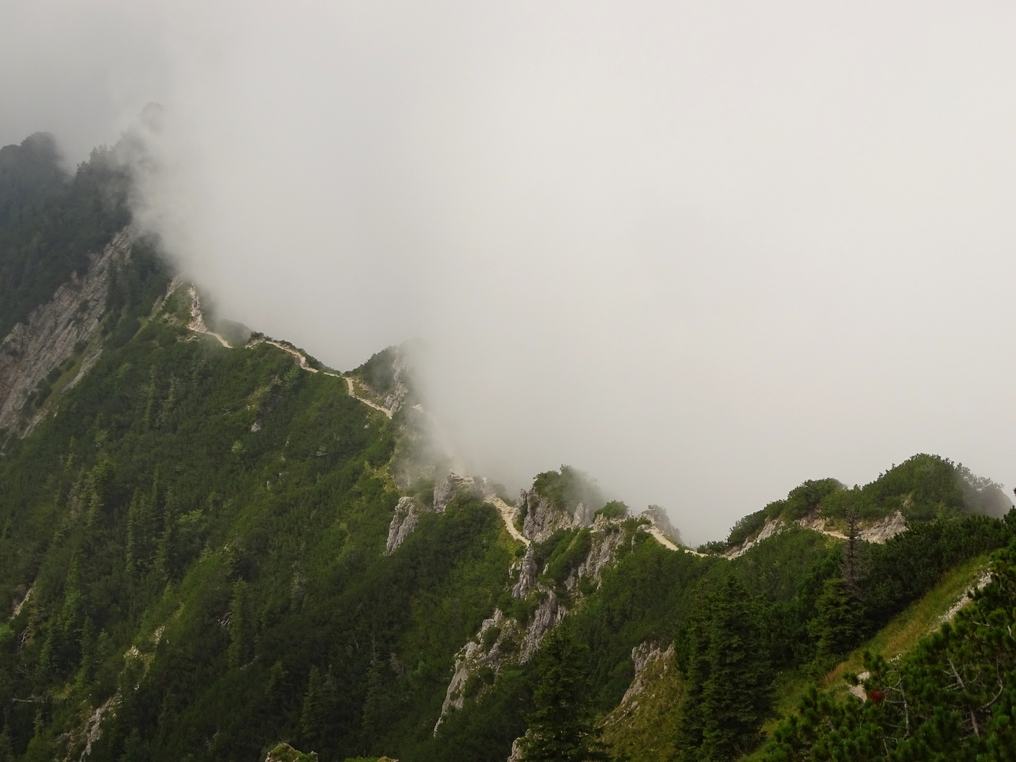 Gratwanderung im Nebel