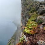 GRATWANDERUNG IM NEBEL