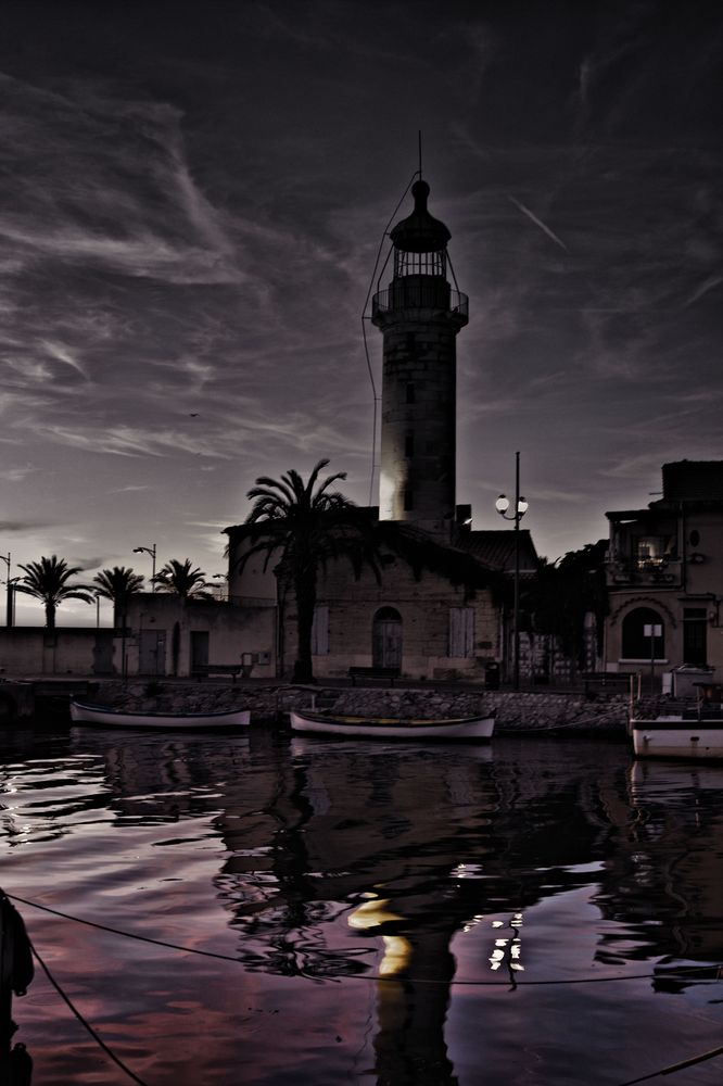 grau de roi Foto & Bild world Bilder auf