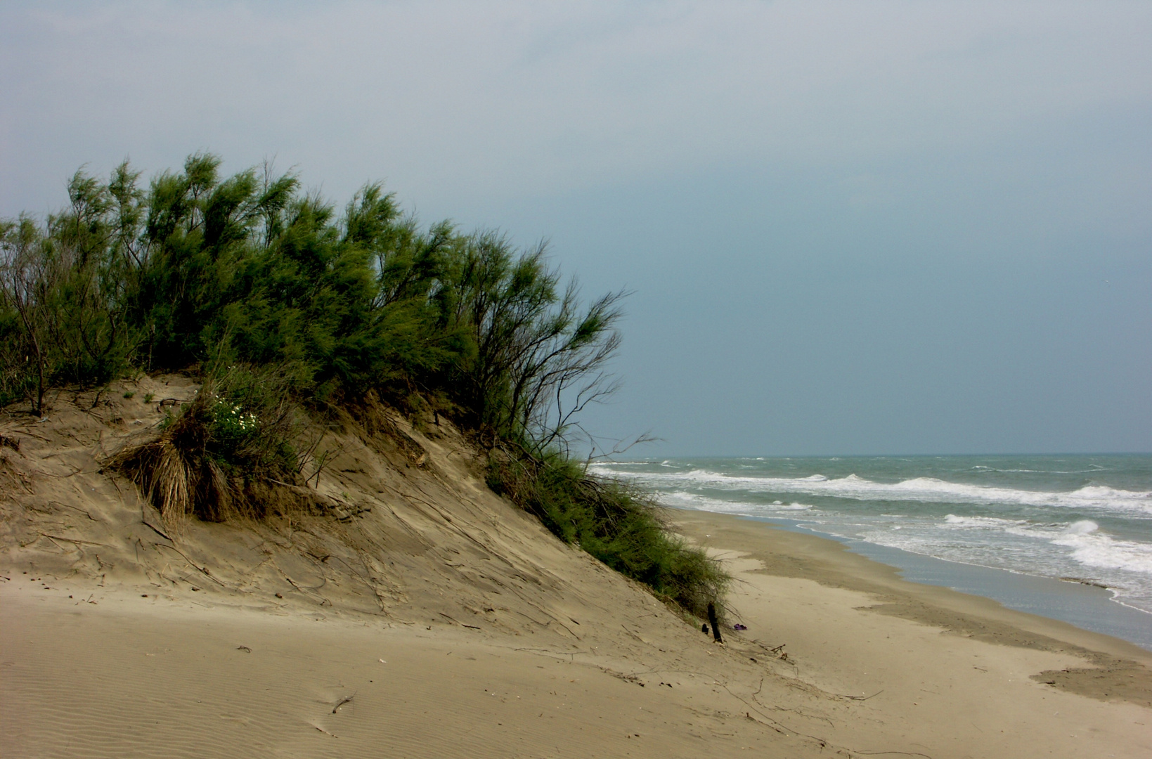 Grau du roi Plage de l'Espiguette