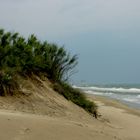 Grau du roi Plage de l'Espiguette