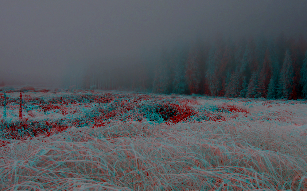 Grau in Grau (3D-Bild mit Rot/Cyan-Brille betrachten)