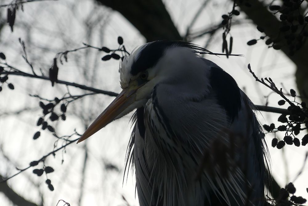 Grau in Grau in Farbe Foto & Bild | fotos, spezial, licht Bilder auf