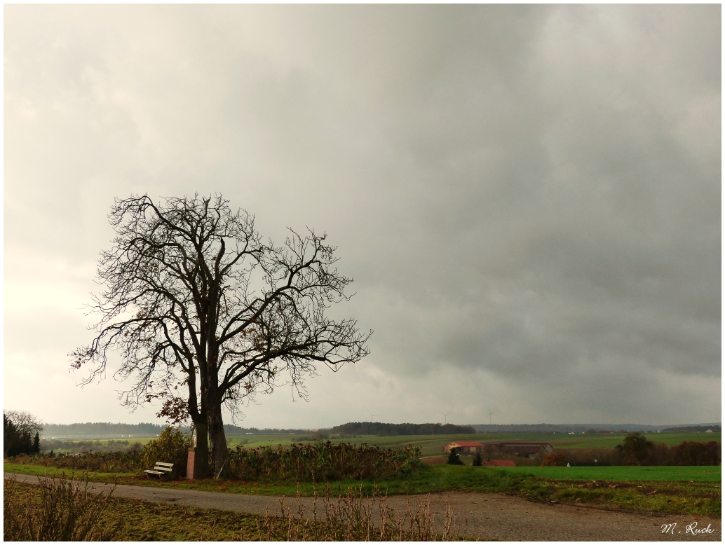 Grau ist der Himmel über dem Land 