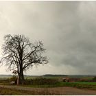 Grau ist der Himmel über dem Land 