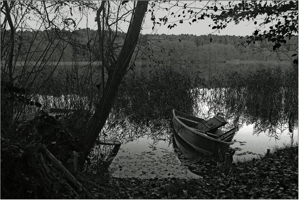 Grau ist der See.