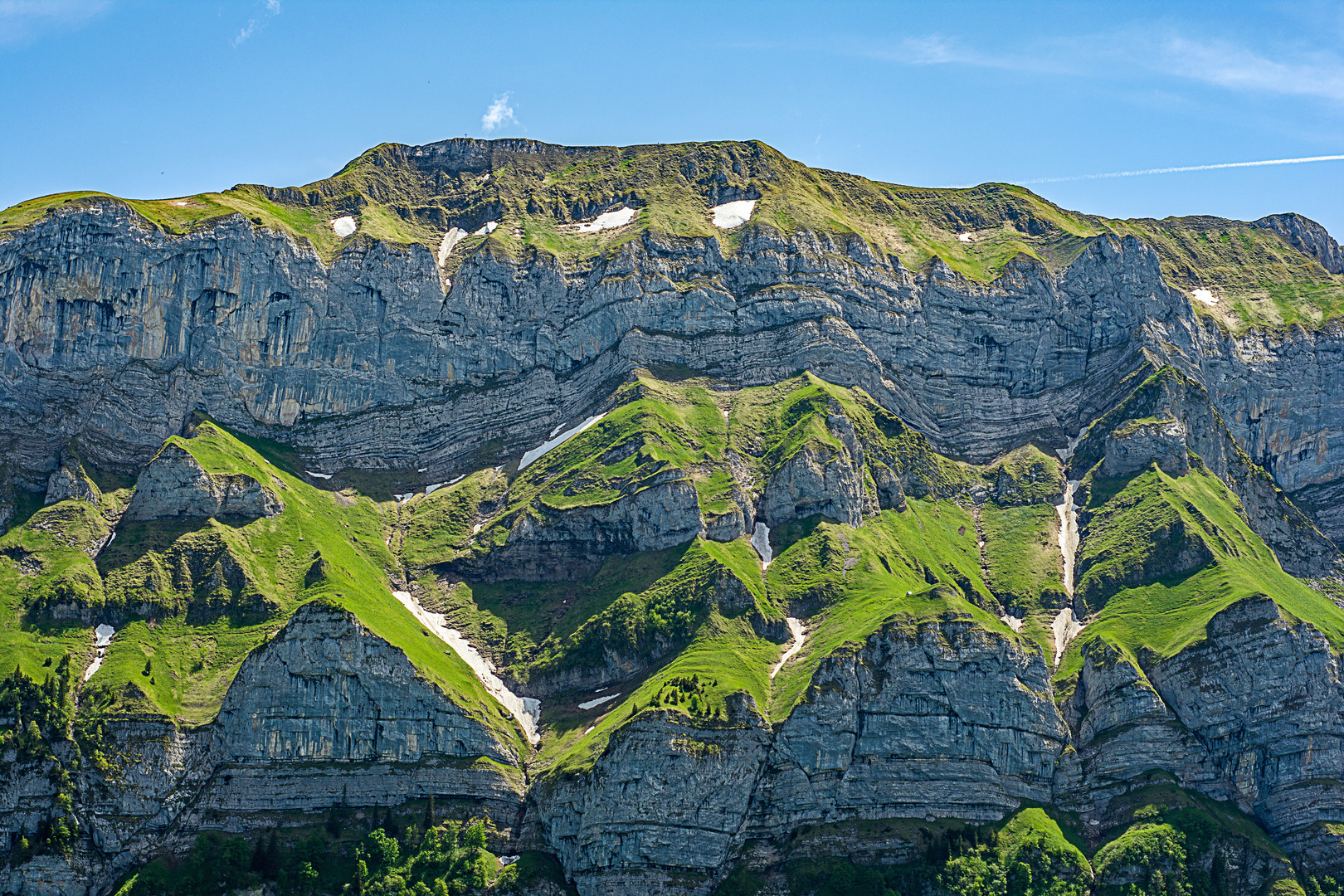  Grau und Grün