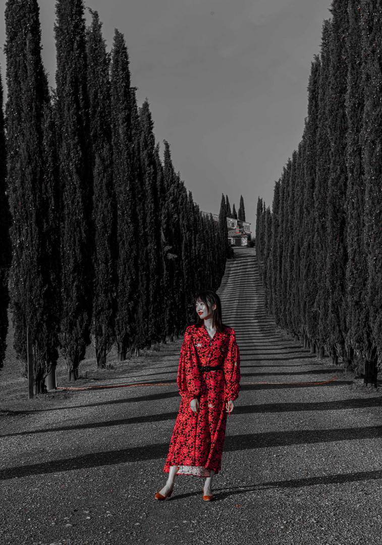 Bilder Grau Rot Bilder Grau Rot