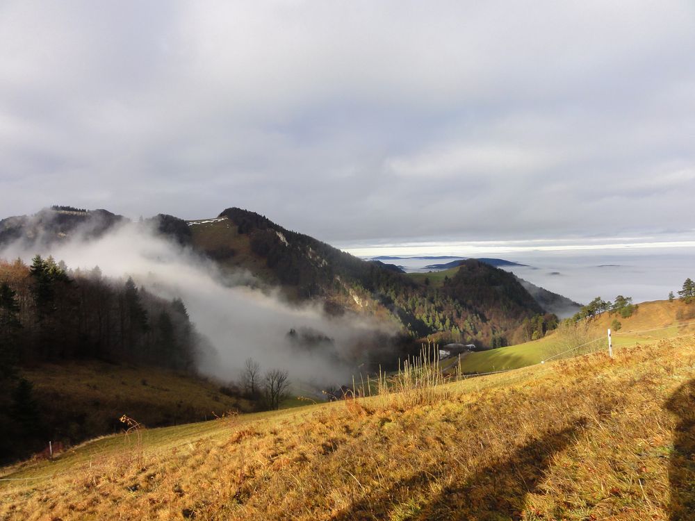 Grau zieht der Nebel....