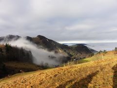 Grau zieht der Nebel....