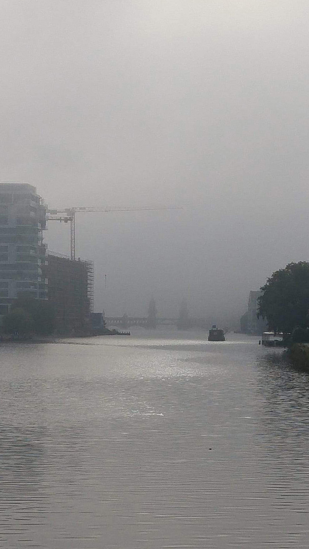 Grau zieht der Nebel