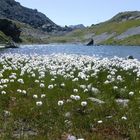 Graubünden in seiner ganzen Pracht!