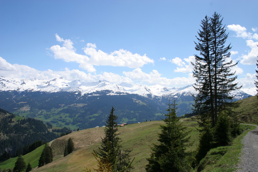 Graubündner Bergpanorama