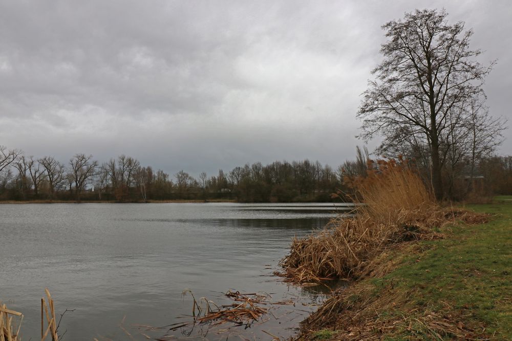 Graue Decke Foto & Bild | landschaften, wasser, bäume Bilder auf
