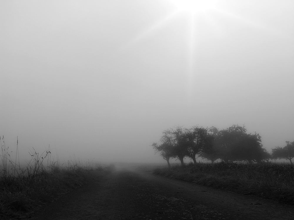 graue Nebel wallen