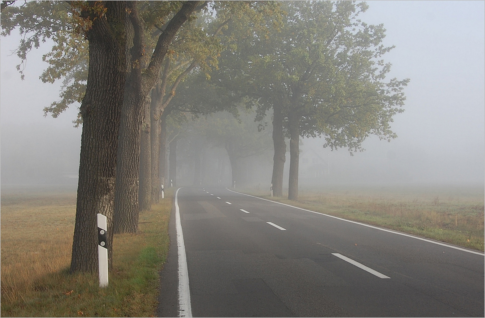 graue Nebel wallen -