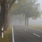 graue Nebel wallen -