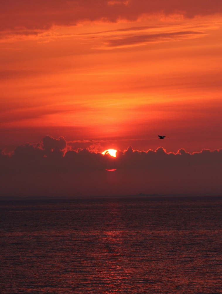 Graue Stadt am Meer....