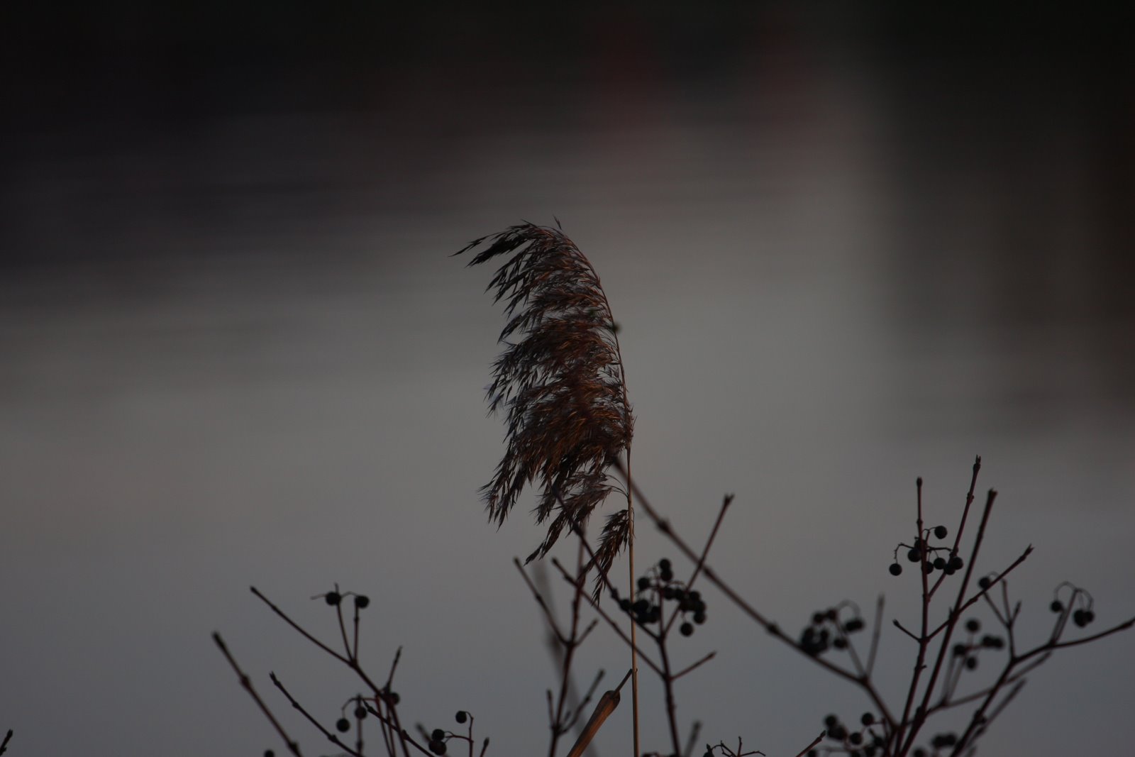 graue Winterzeit