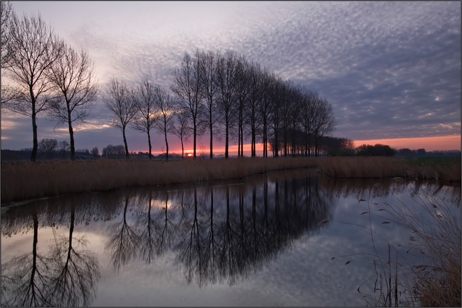 Graue Wölkchen zum Sonnenaufgang