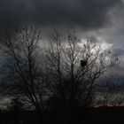 Graue Wolken über dem Münsterland - Schlechtwetter-Stimmung