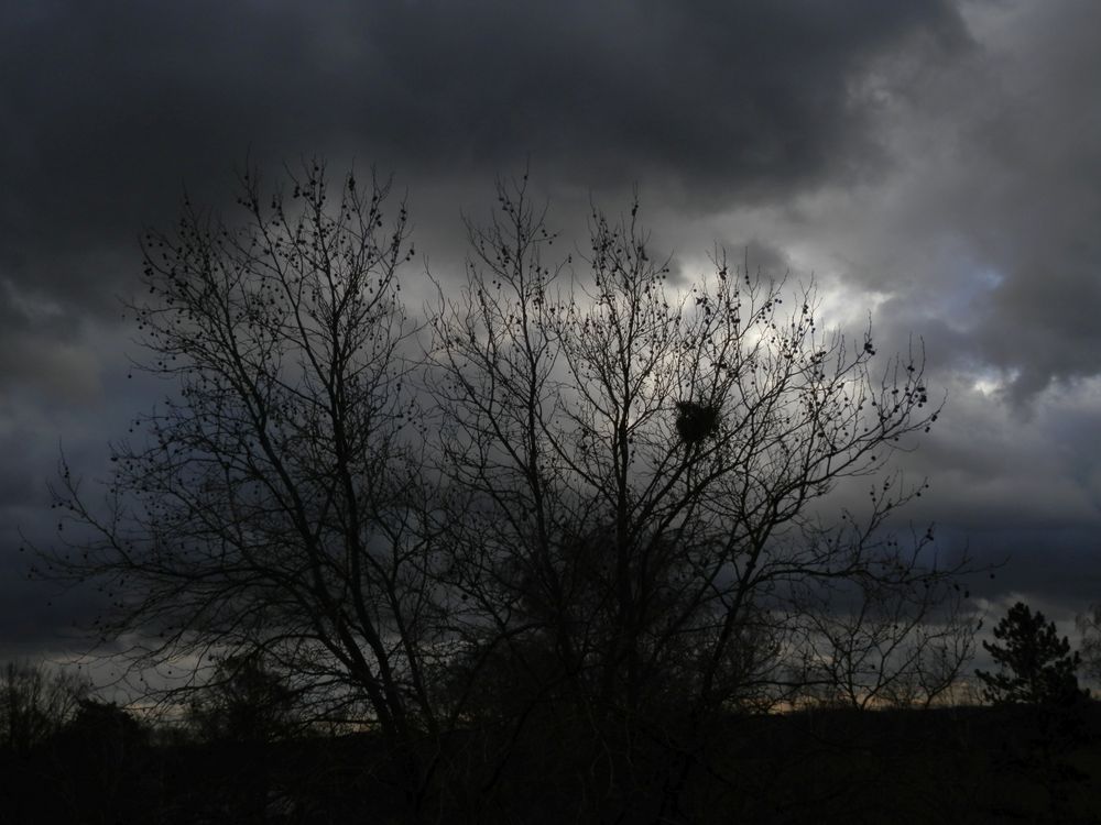 Graue Wolken über dem Münsterland - Schlechtwetter-Stimmung