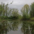 Graue Wolken überm Teich