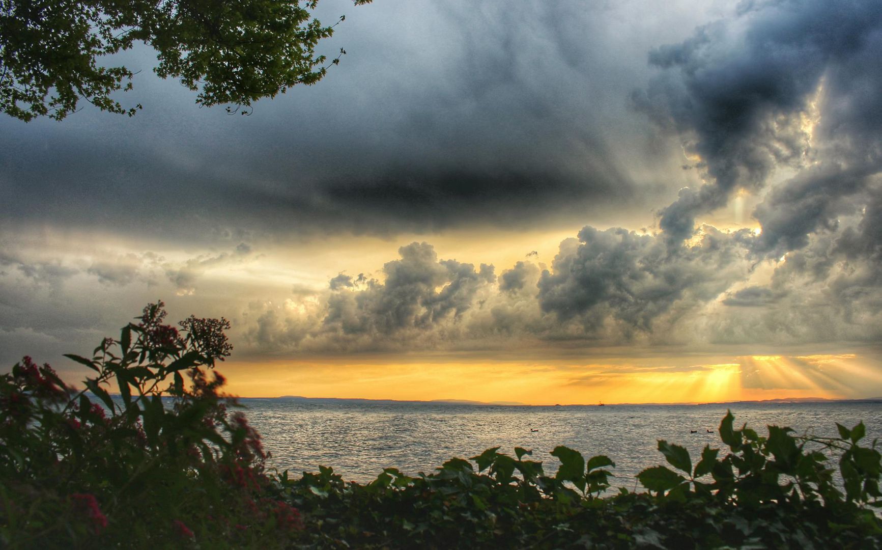 Graue Wolkendecke