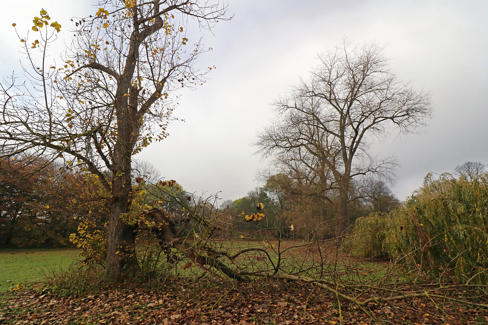 Graue Wolkendecke