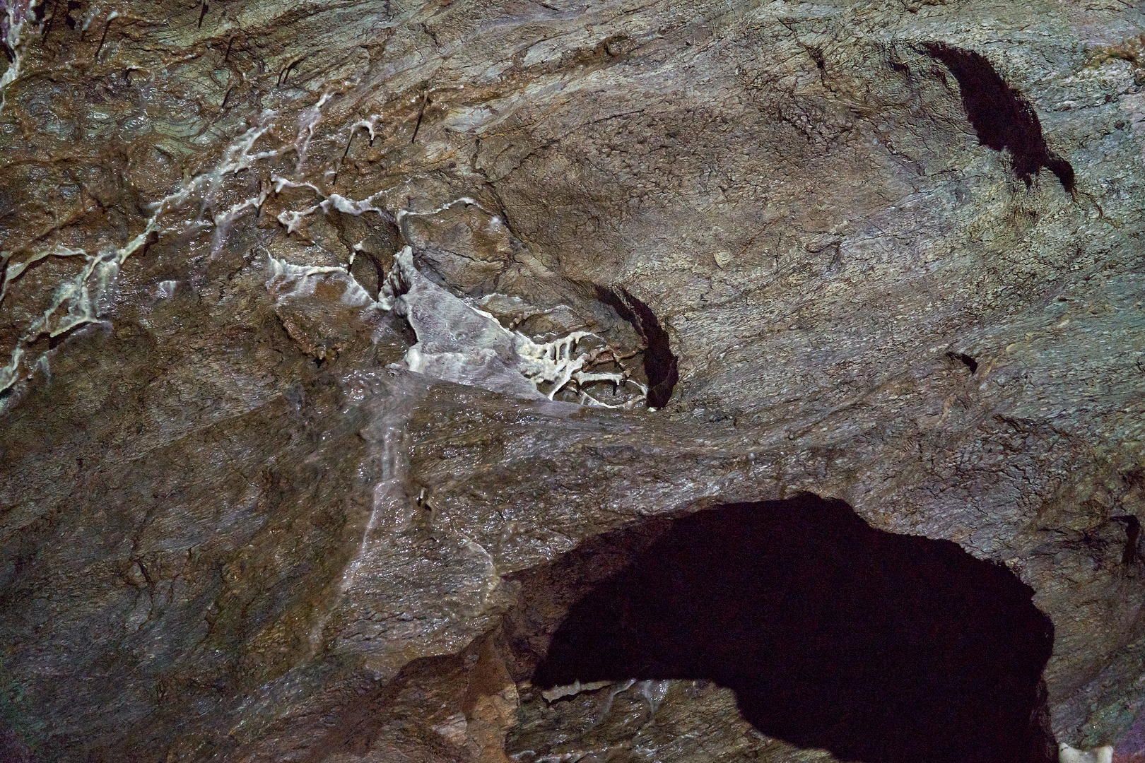 Grauen der Tiefe -  Drachenhöhle Syrau 4