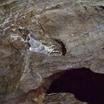 Grauen der Tiefe -  Drachenhöhle Syrau 4