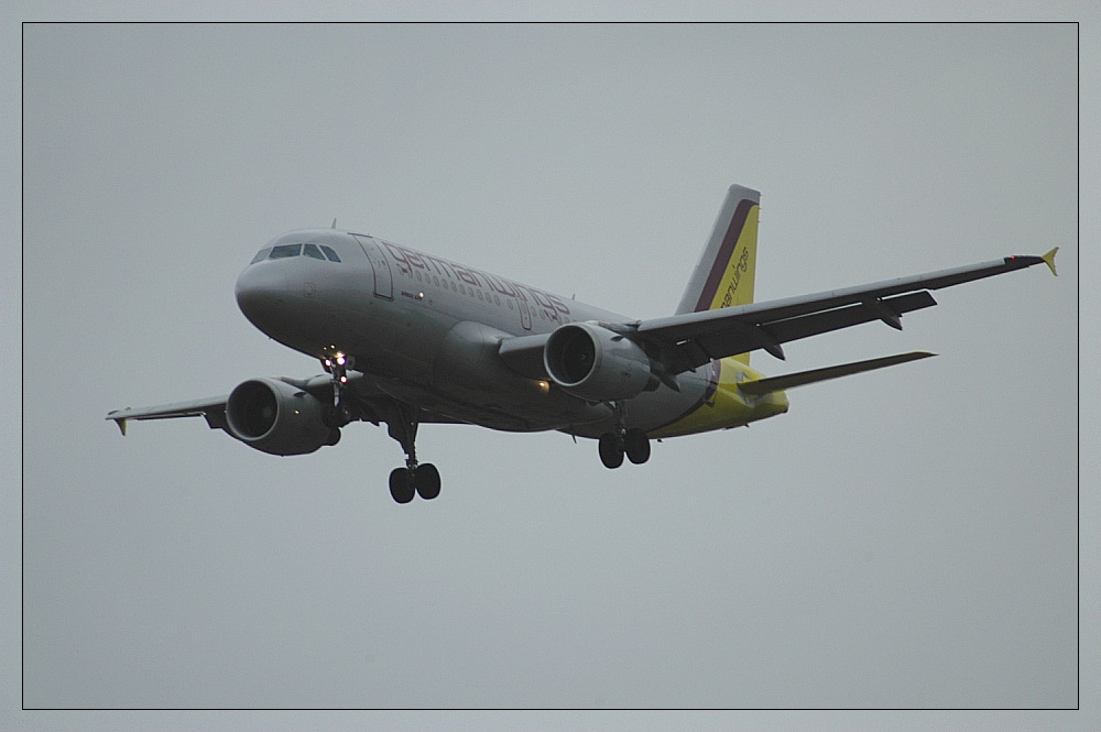 Grauer Flieger auf grauem Grund