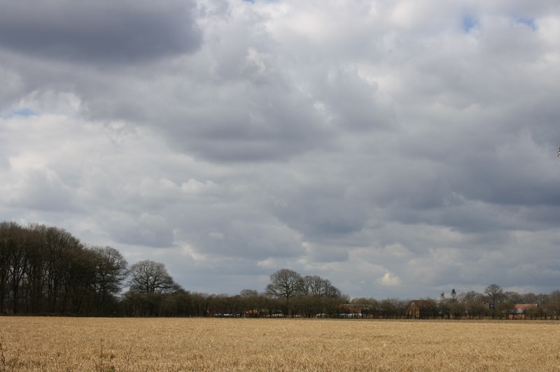 grauer Frühling