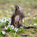 grauer Frühlingstag