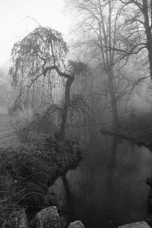 Grauer Herbst