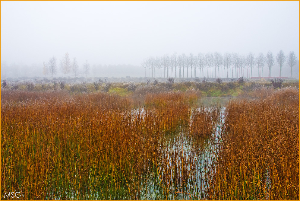 Grauer Herbst in warmen Farben